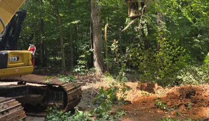 brush remove lot catawba sc