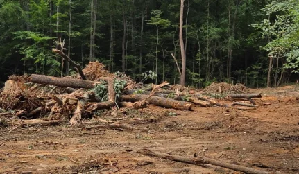 debris haul remove catawba sc