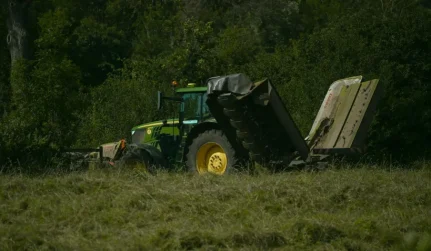 forestry mulcher work catawba sc