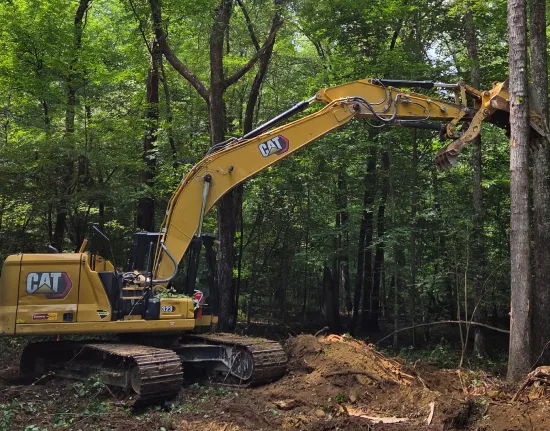 land clear forest catawba sc