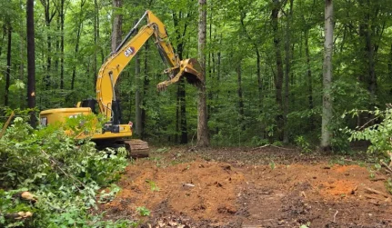 land clear lot catawba sc