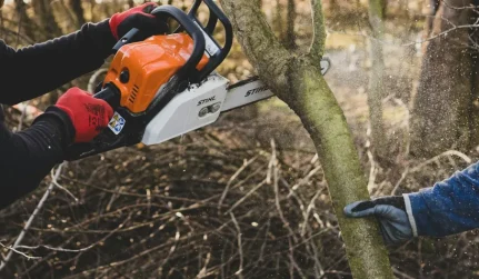 tree trim prune catawba sc