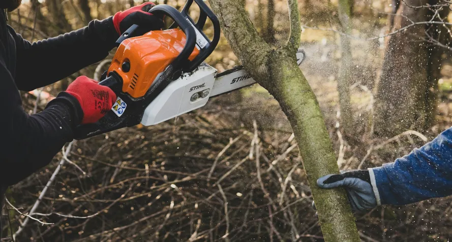tree trim prune catawba sc
